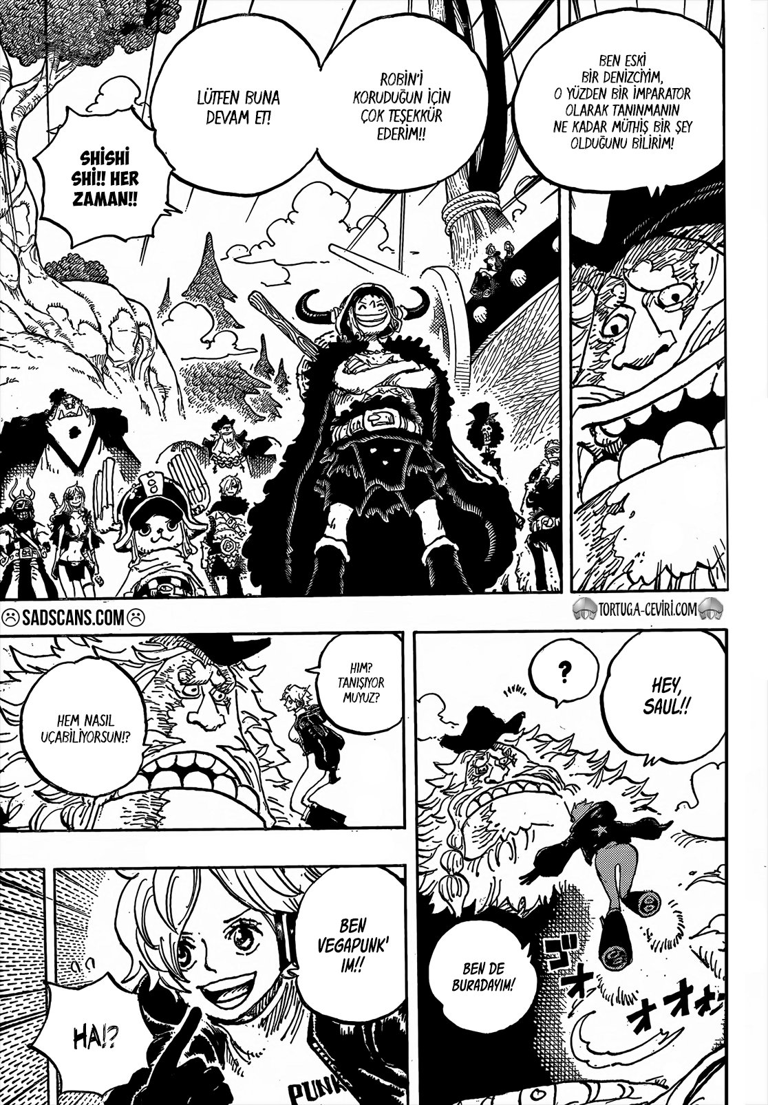 Read One Piece Tr Manga Online
