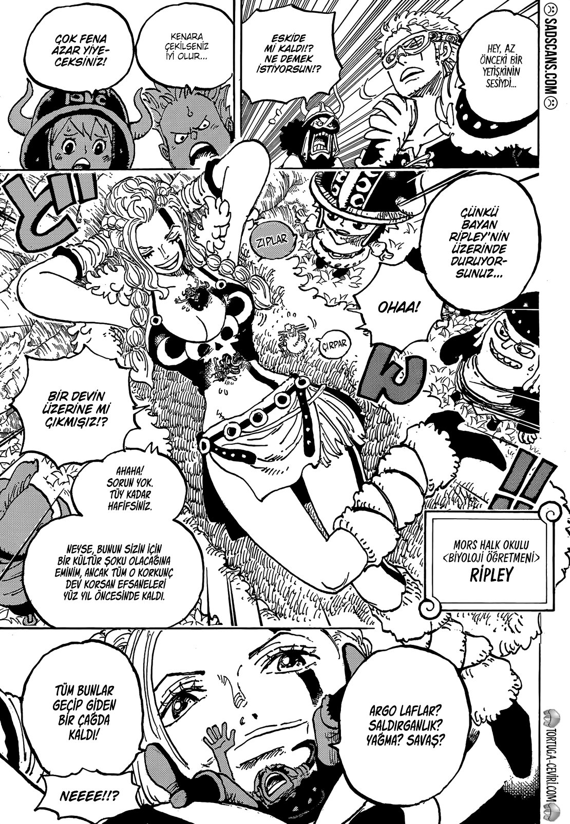 Read One Piece Tr Manga Online