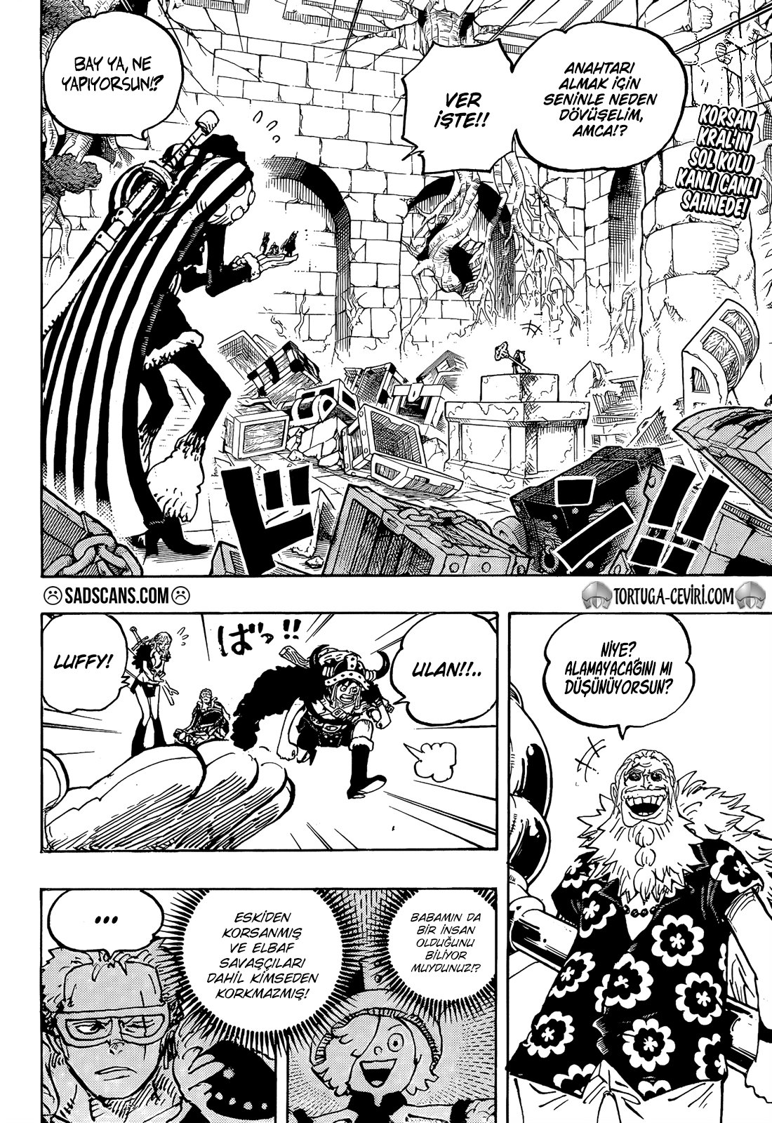 Read One Piece Tr Manga Online
