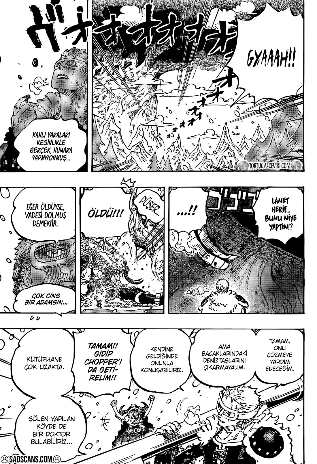 Read One Piece Tr Manga Online