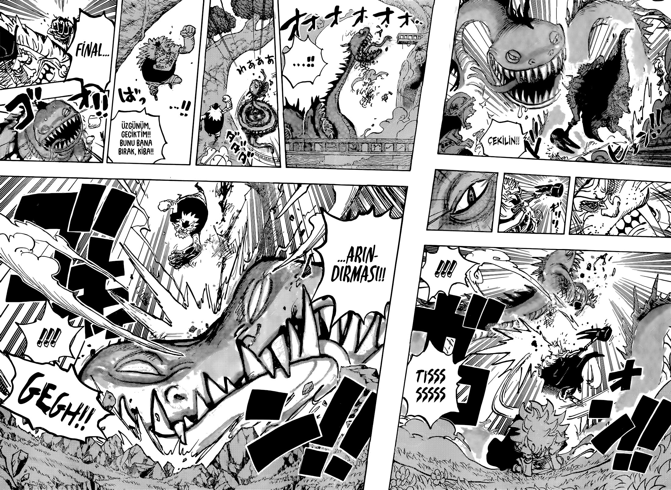 Read One Piece Tr Manga Online