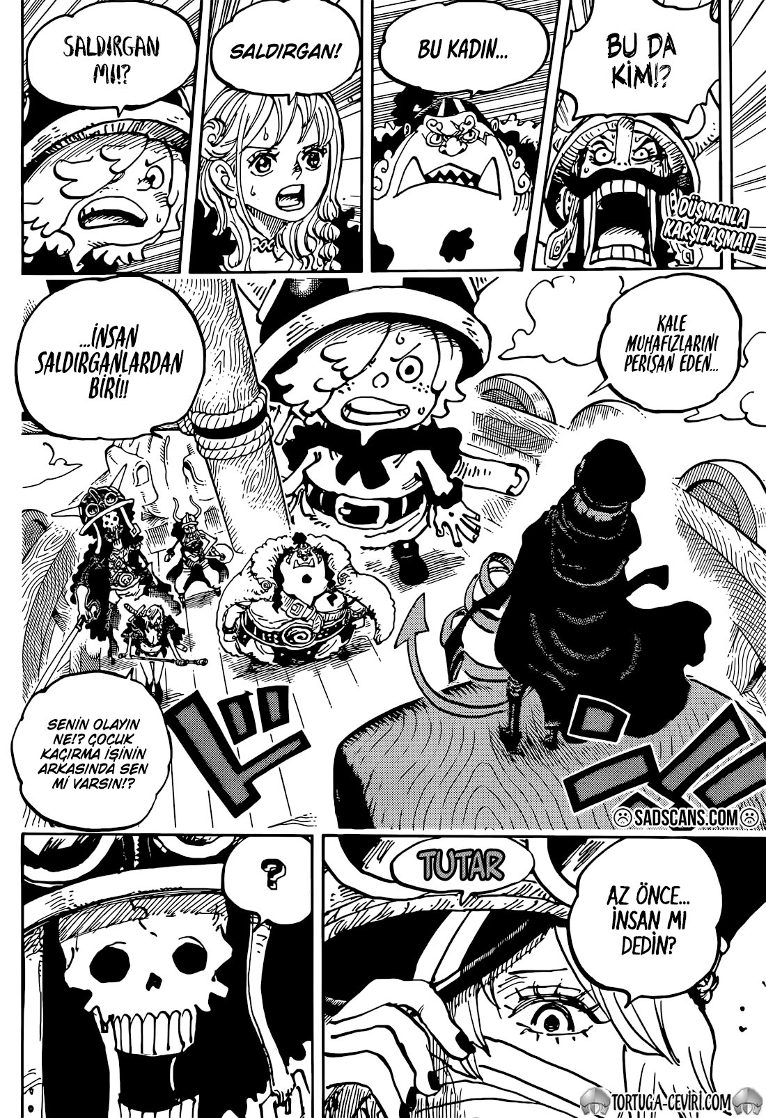 Read One Piece Tr Manga Online