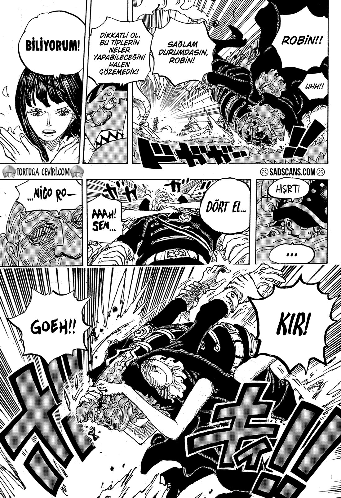 Read One Piece Tr Manga Online