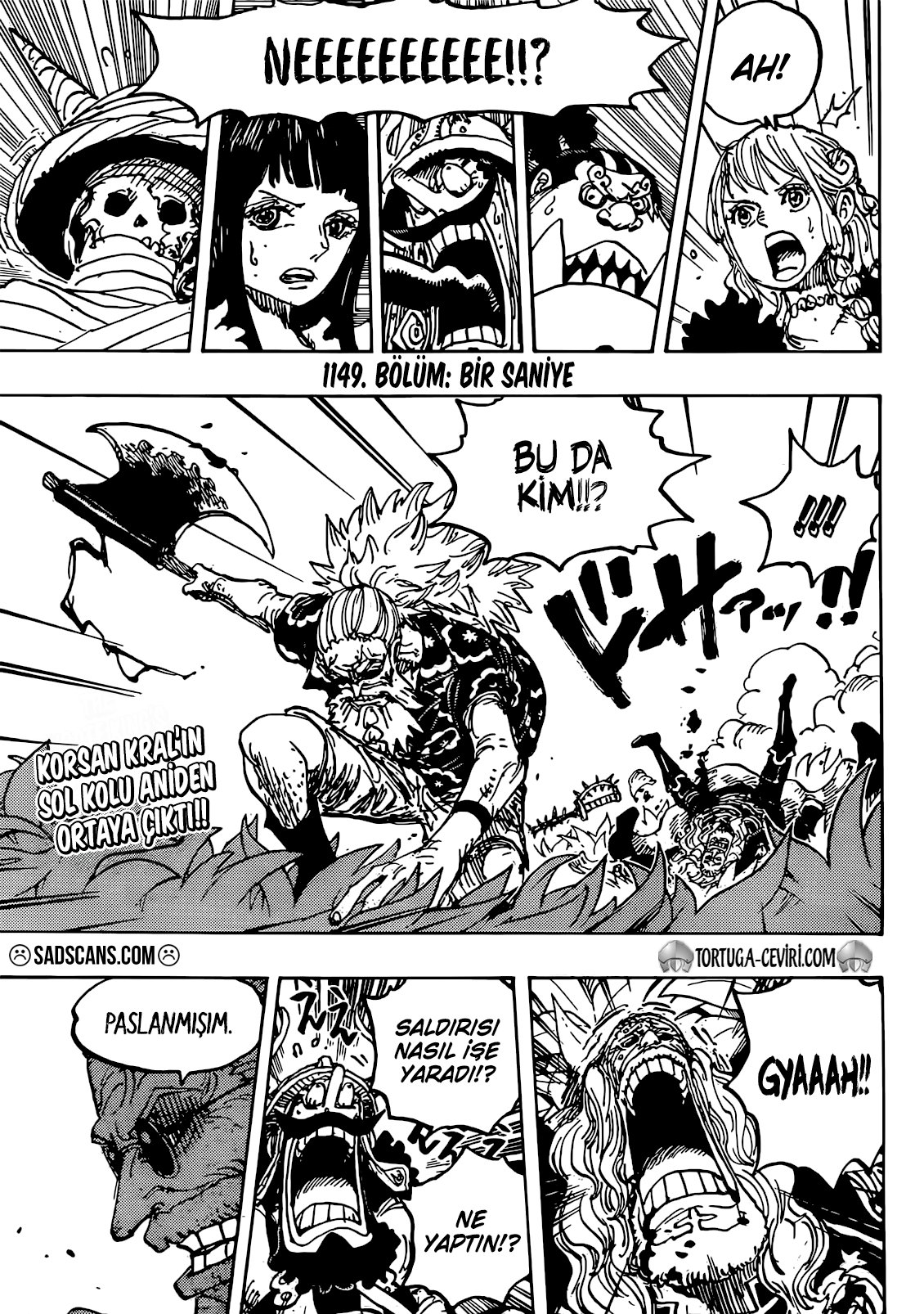 Read One Piece Tr Manga Online