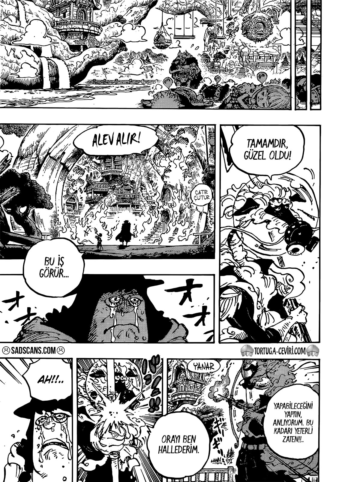 Read One Piece Tr Manga Online