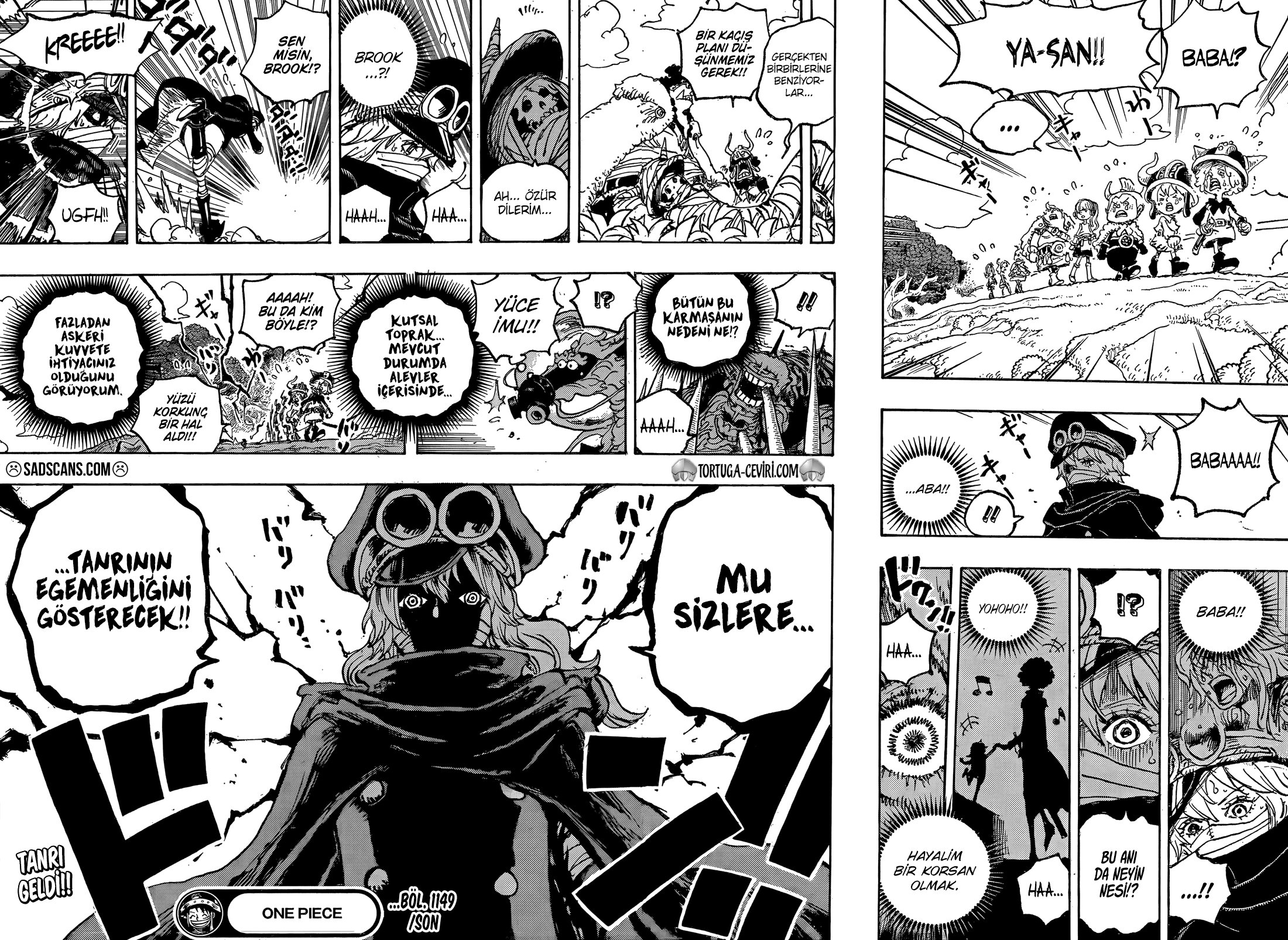 Read One Piece Tr Manga Online