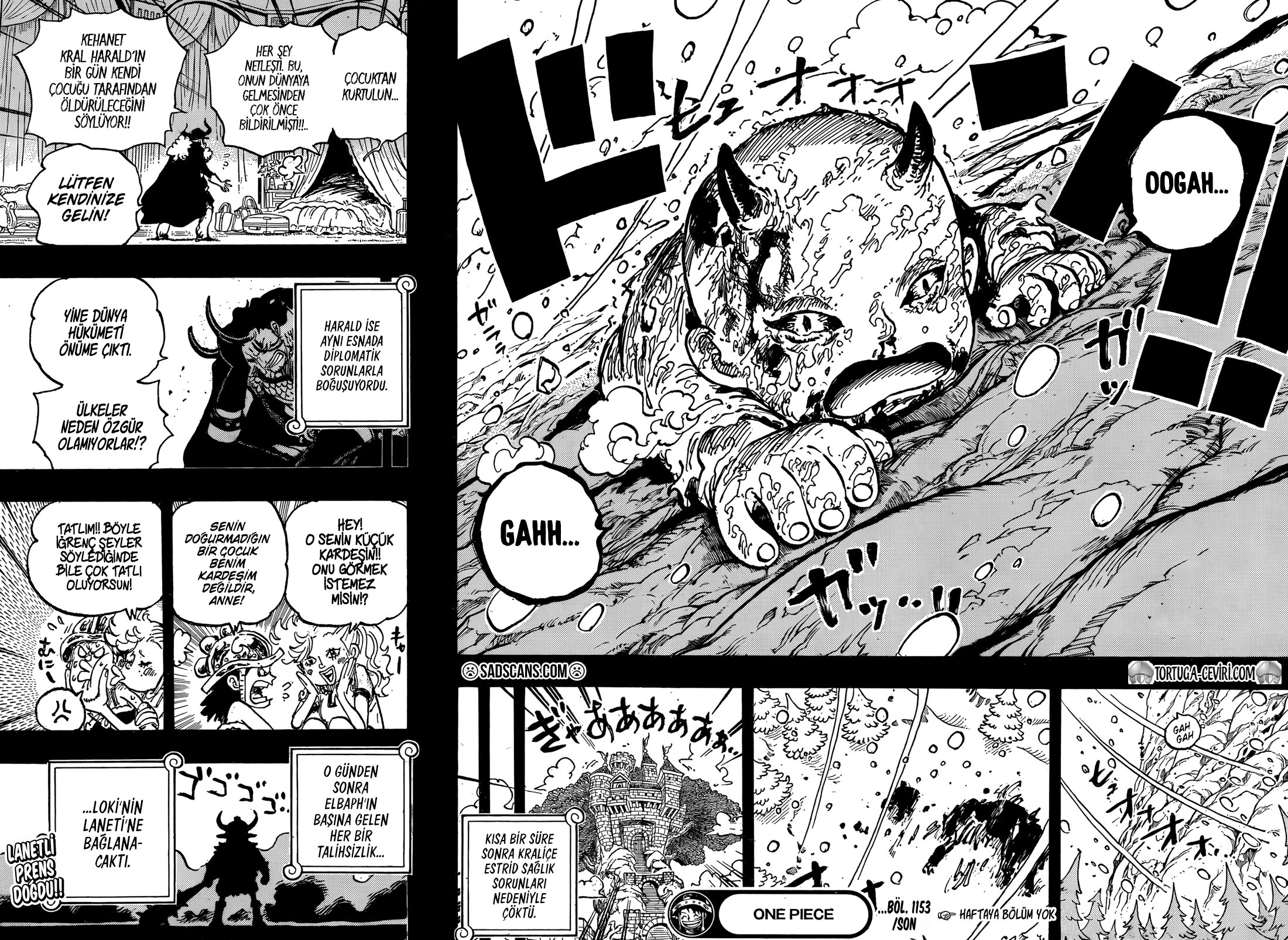 Read One Piece Tr Manga Online