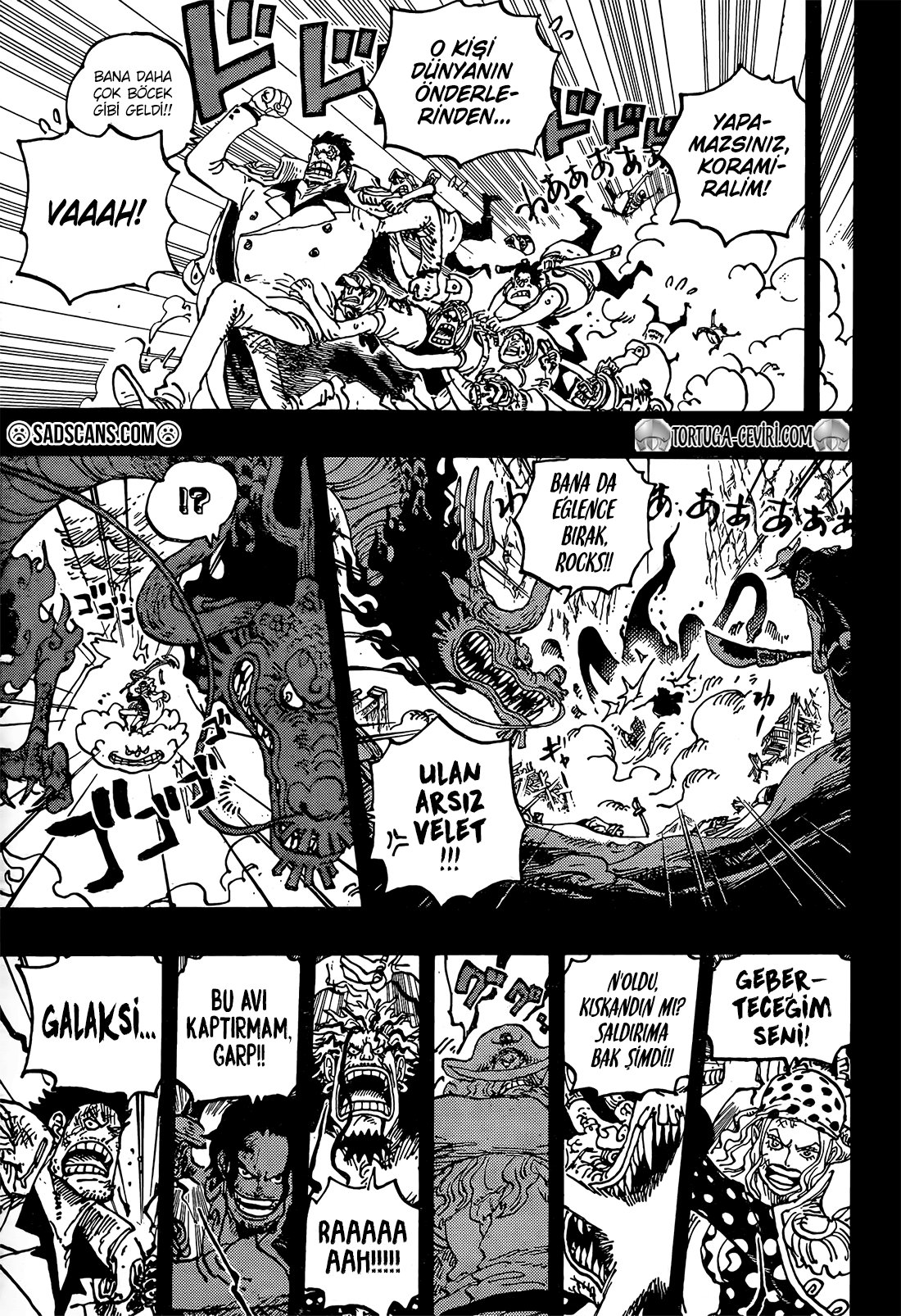 Read One Piece Tr Manga Online