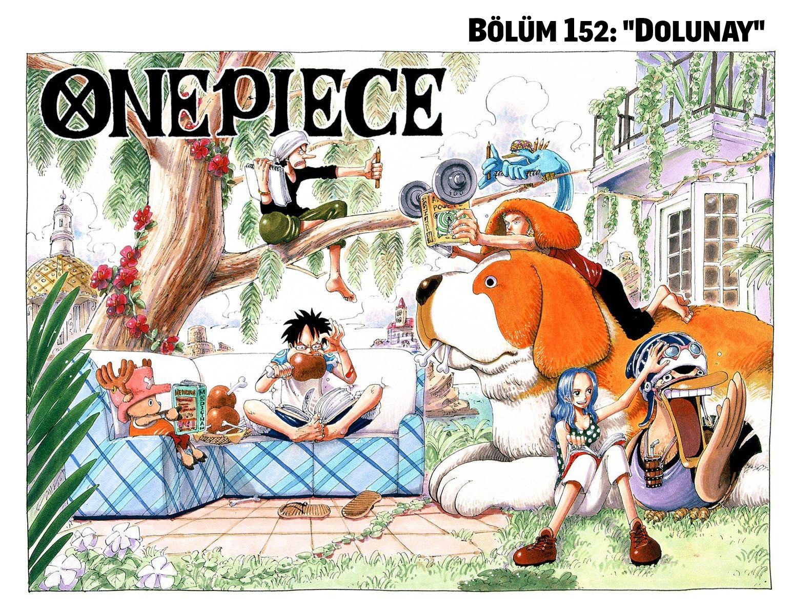 Read One Piece Tr Manga Online