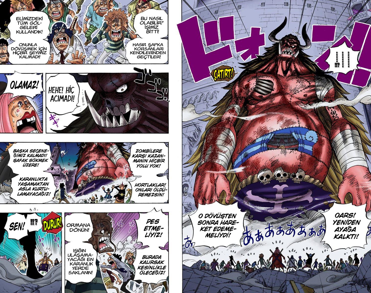 Read One Piece Tr Manga Online