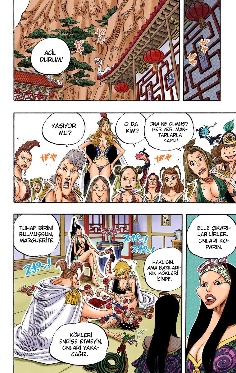 Read One Piece Tr Manga Online