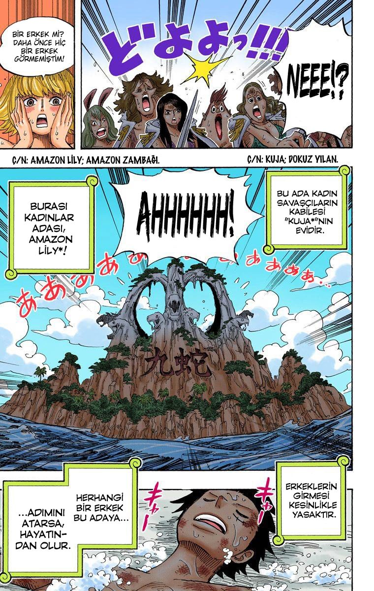 Read One Piece Tr Manga Online