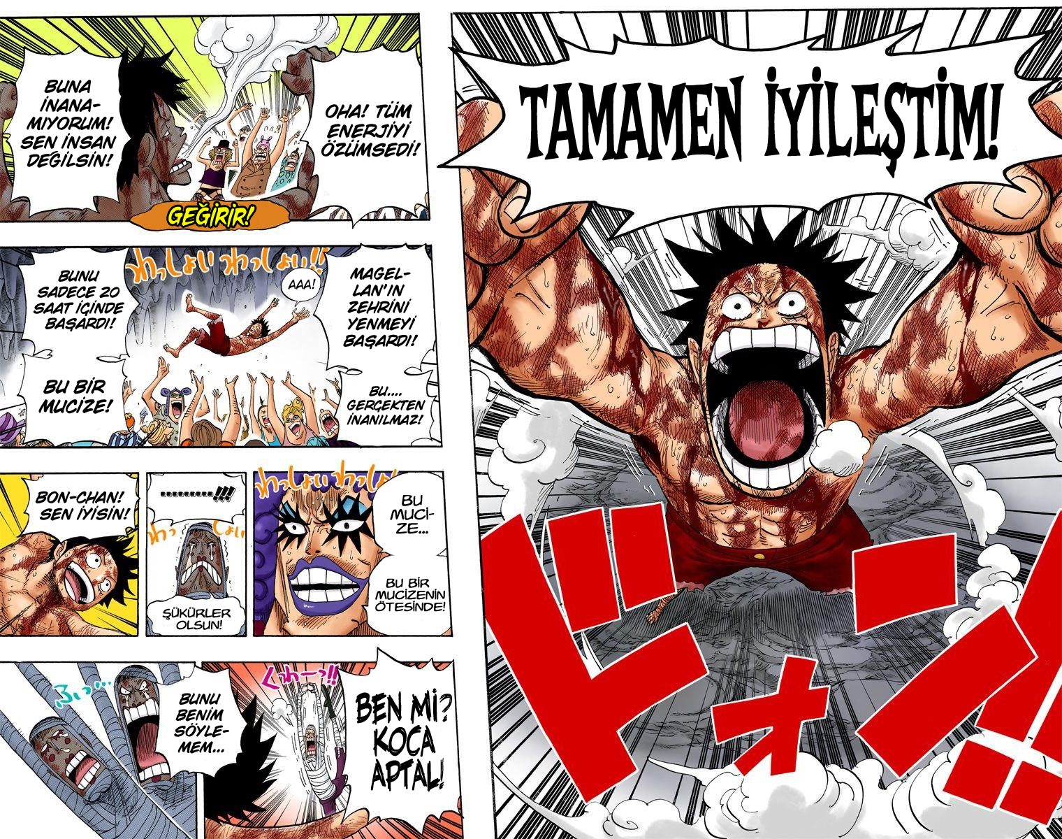 Read One Piece Tr Manga Online