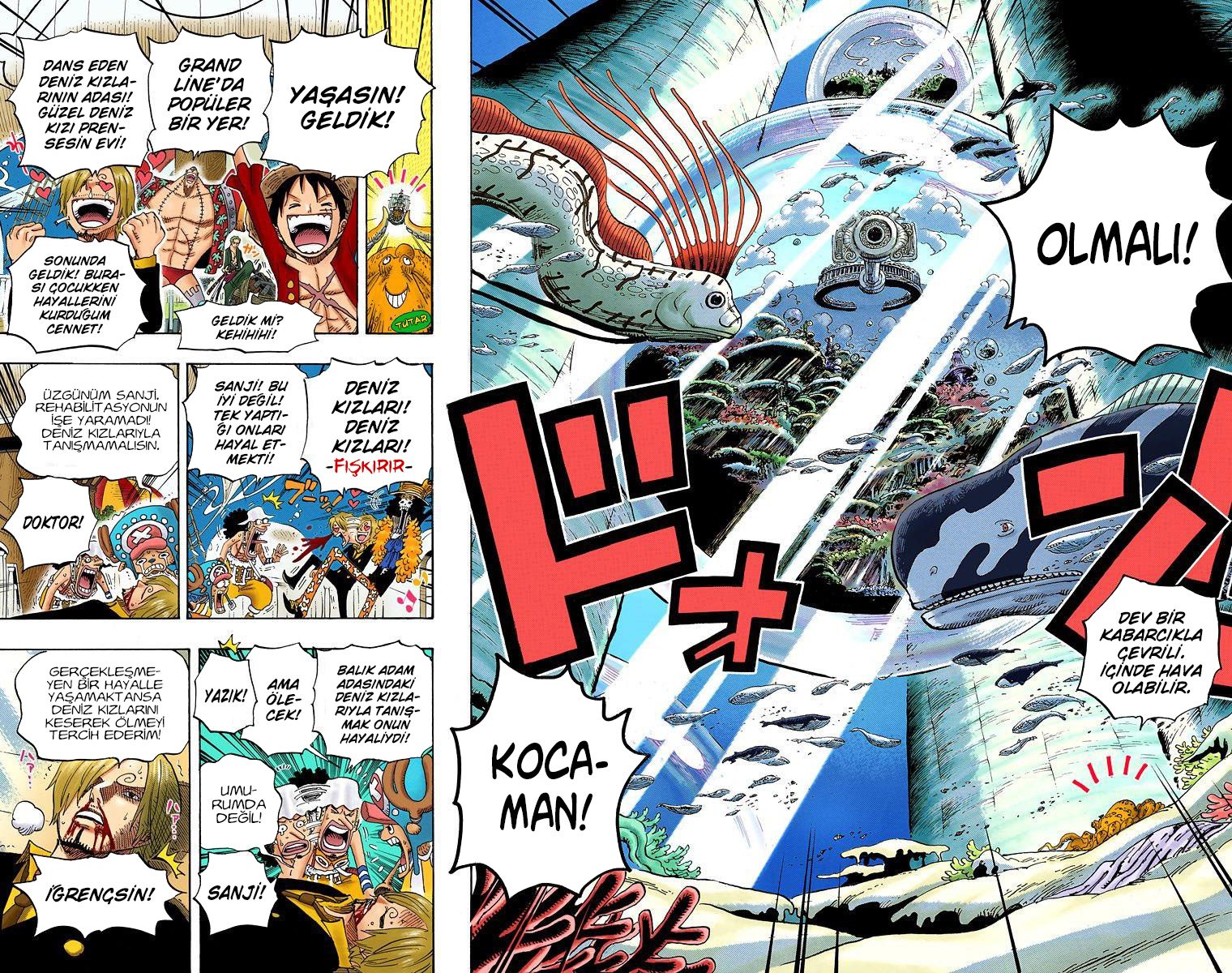 Read One Piece Tr Manga Online