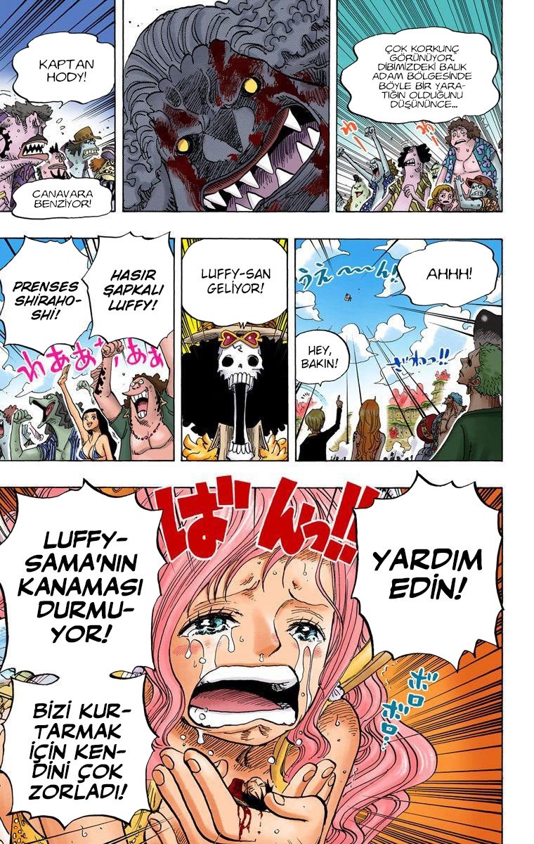 Read One Piece Tr Manga Online