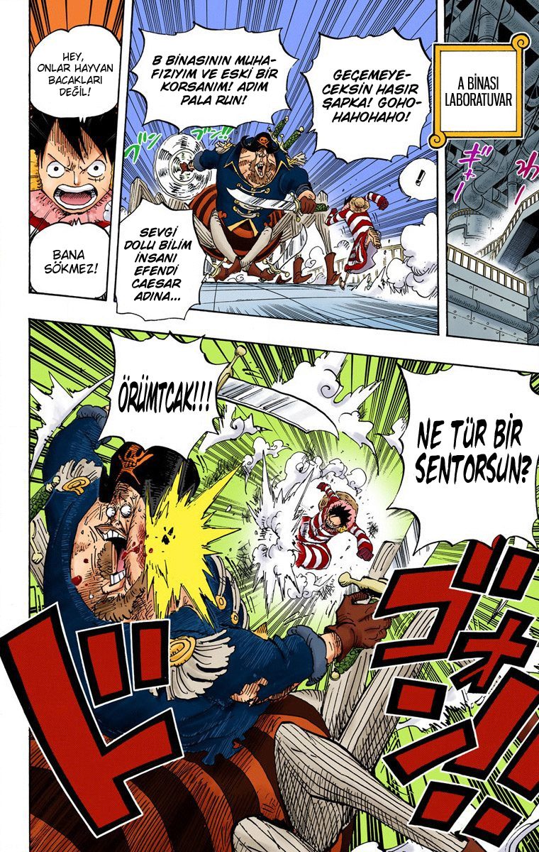 Read One Piece Tr Manga Online