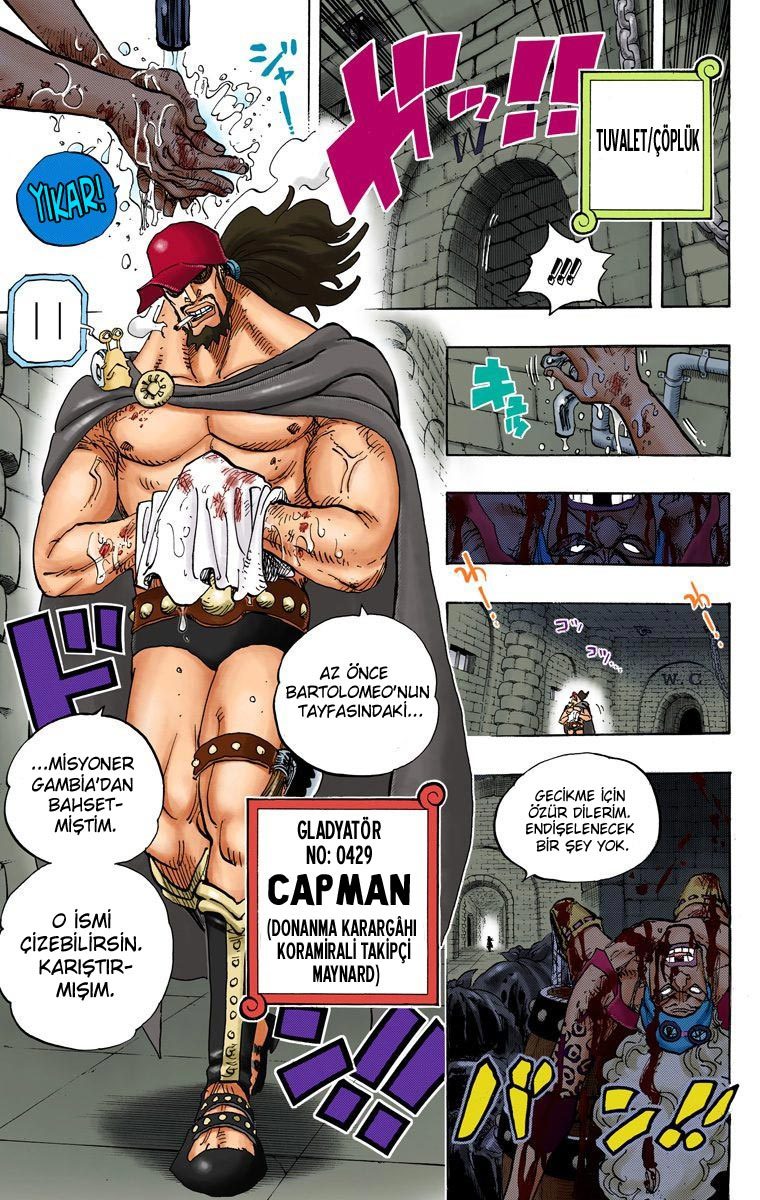 Read One Piece Tr Manga Online