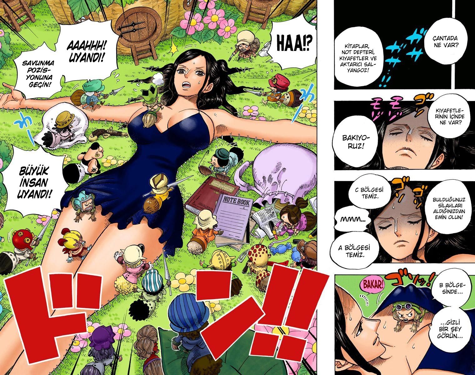 Read One Piece Tr Manga Online