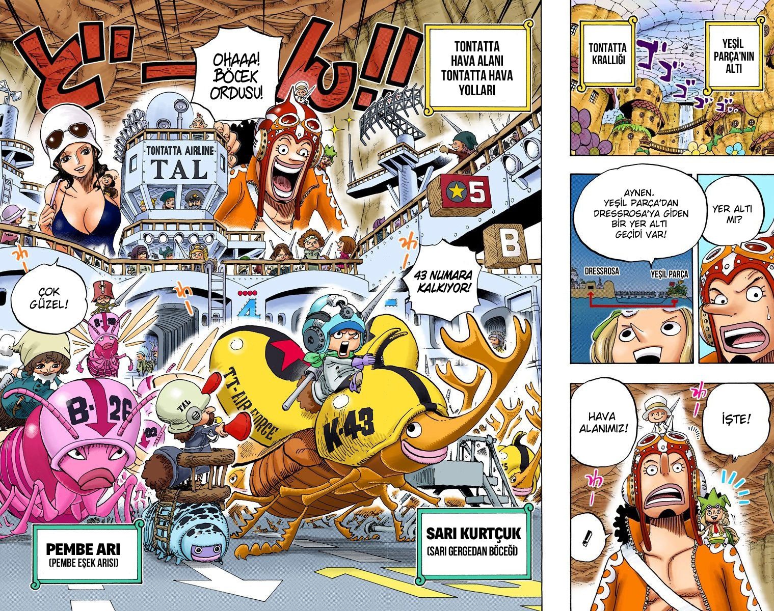 Read One Piece Tr Manga Online