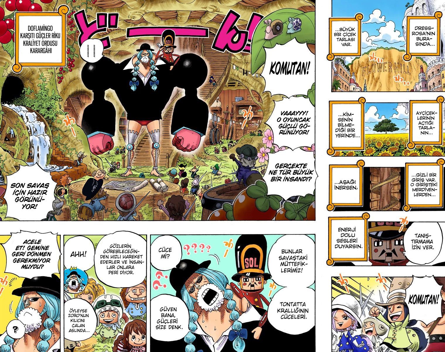 Read One Piece Tr Manga Online
