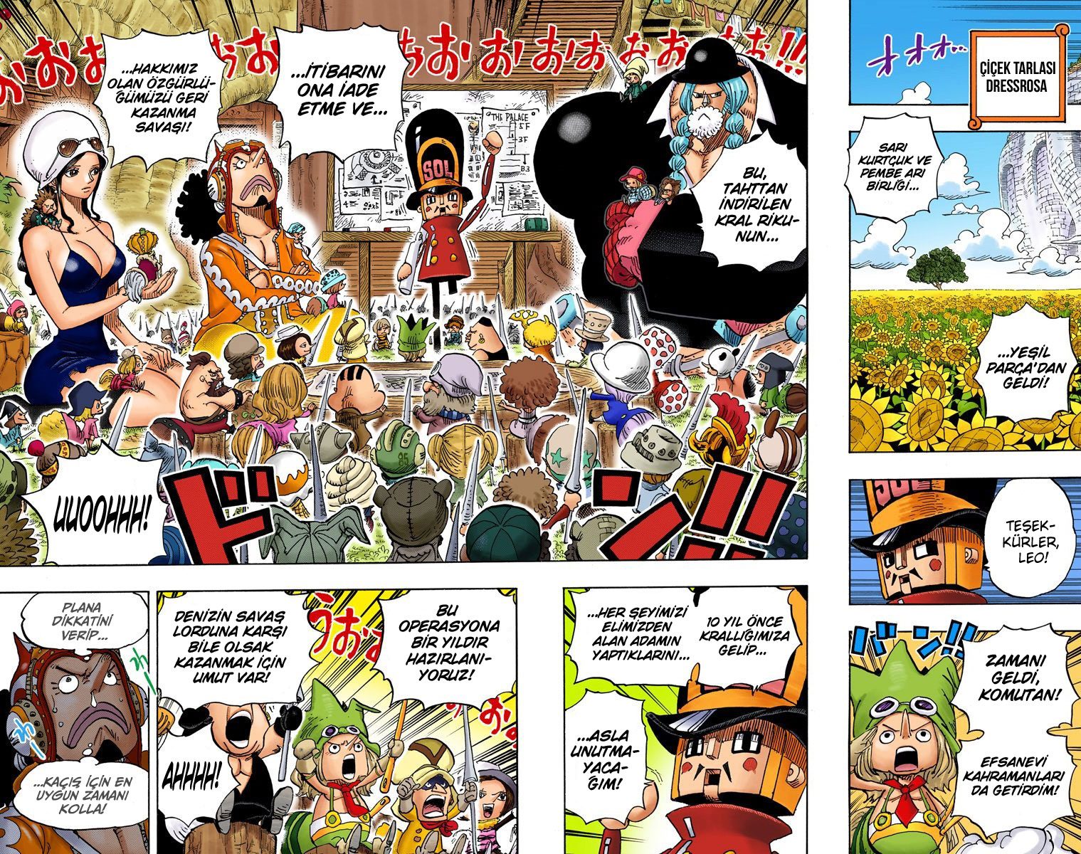 Read One Piece Tr Manga Online