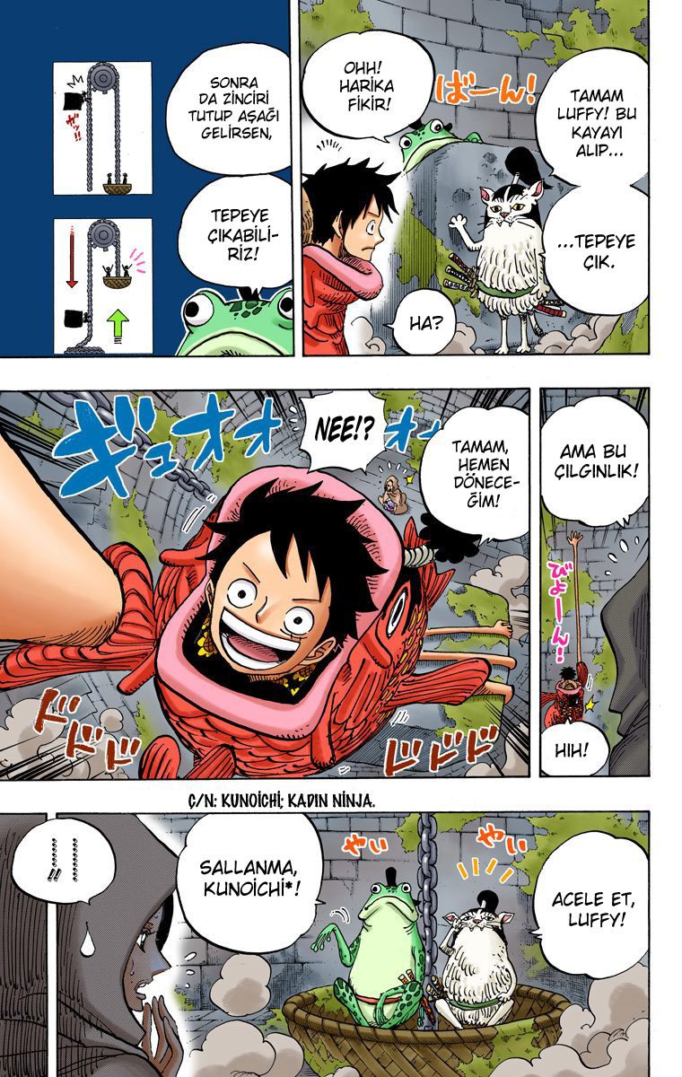 Read One Piece Tr Manga Online