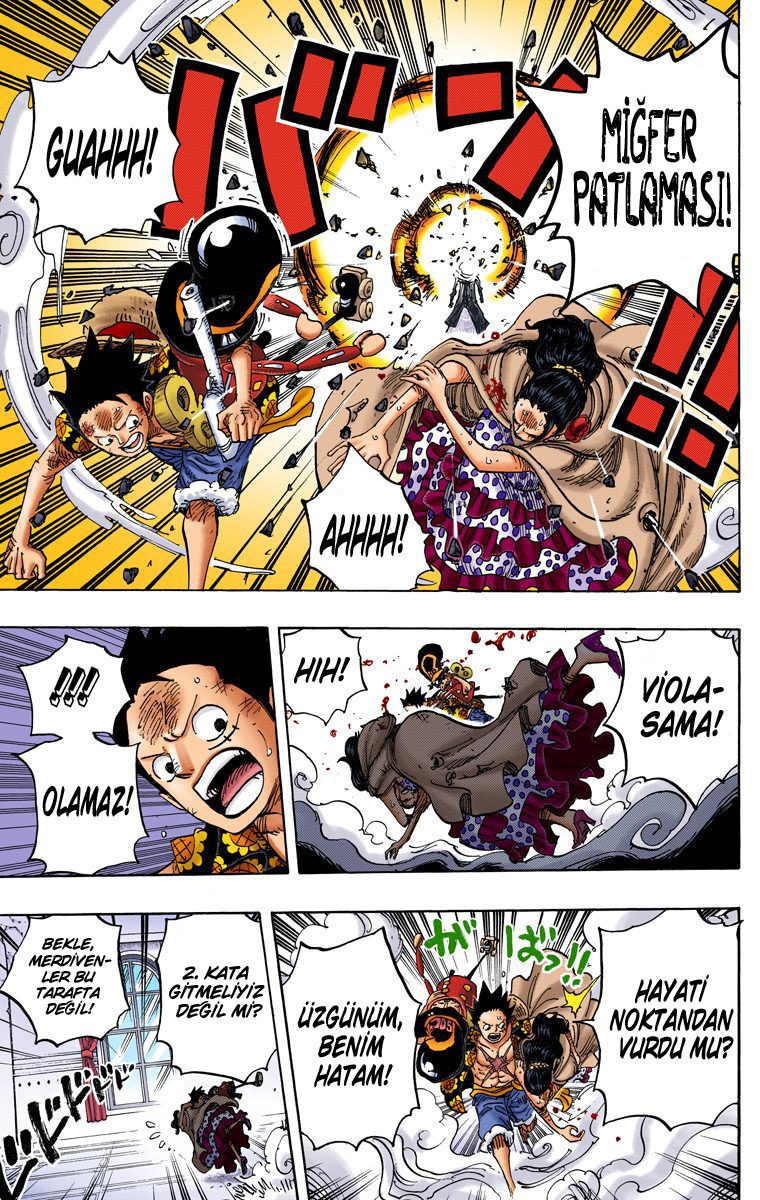 Read One Piece Tr Manga Online