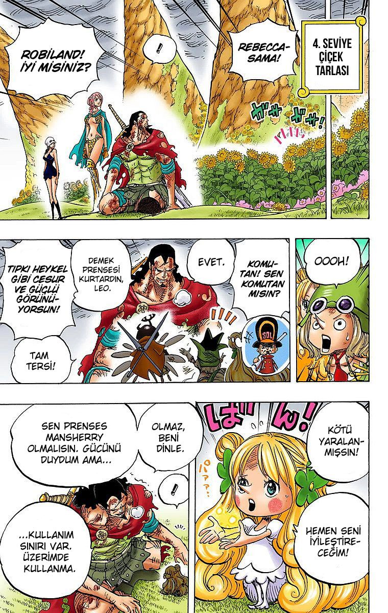 Read One Piece Tr Manga Online
