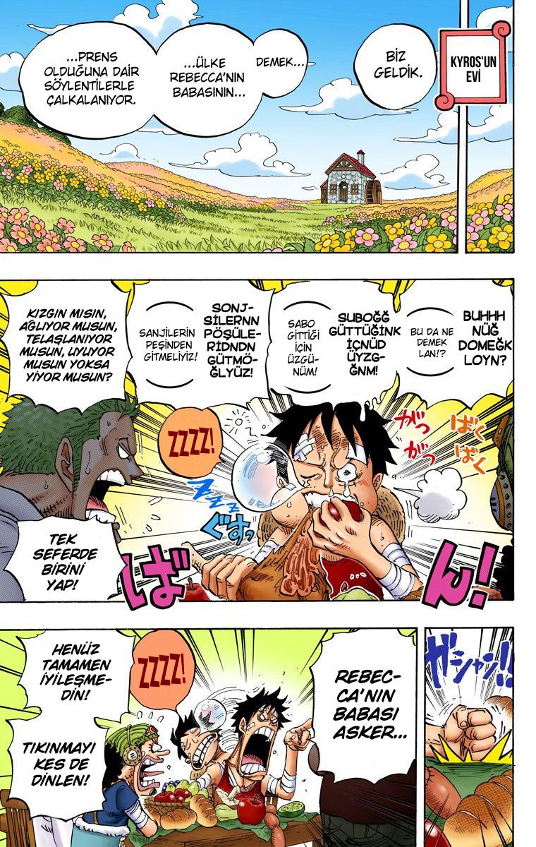 Read One Piece Tr Manga Online