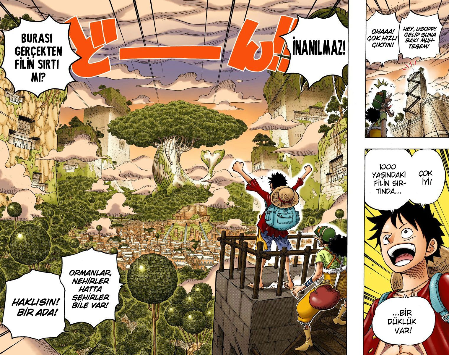 Read One Piece Tr Manga Online