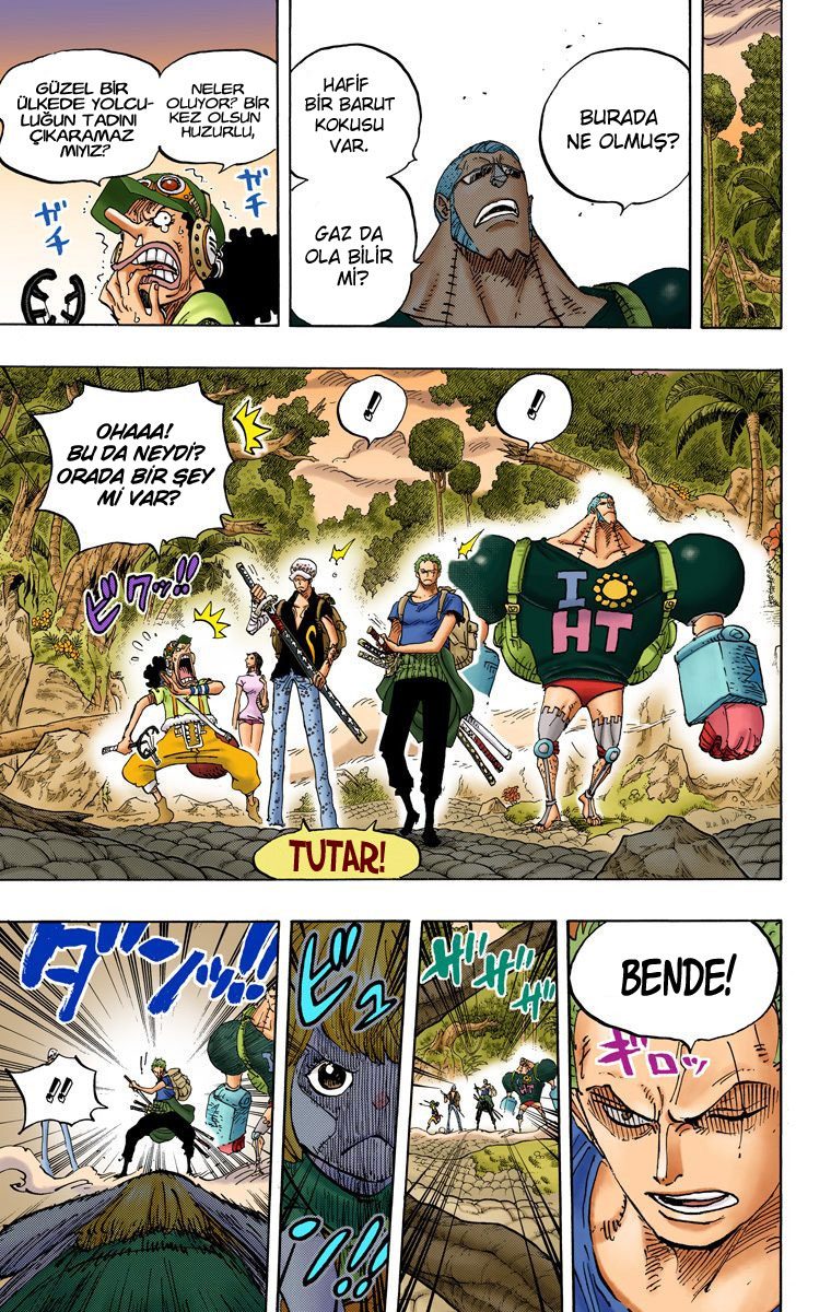Read One Piece Tr Manga Online