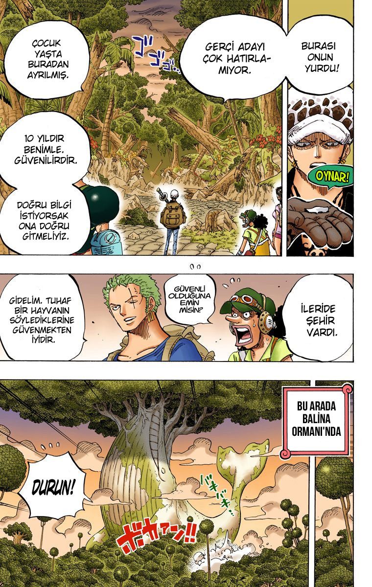 Read One Piece Tr Manga Online