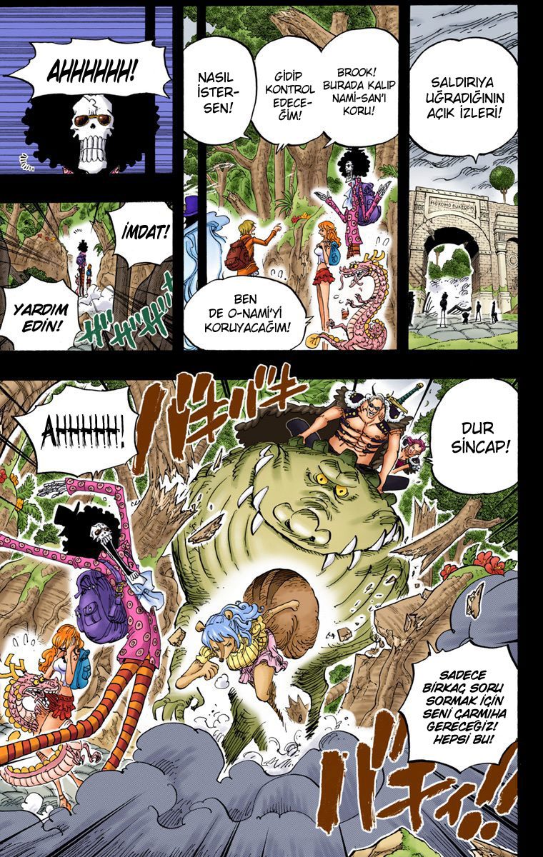 Read One Piece Tr Manga Online