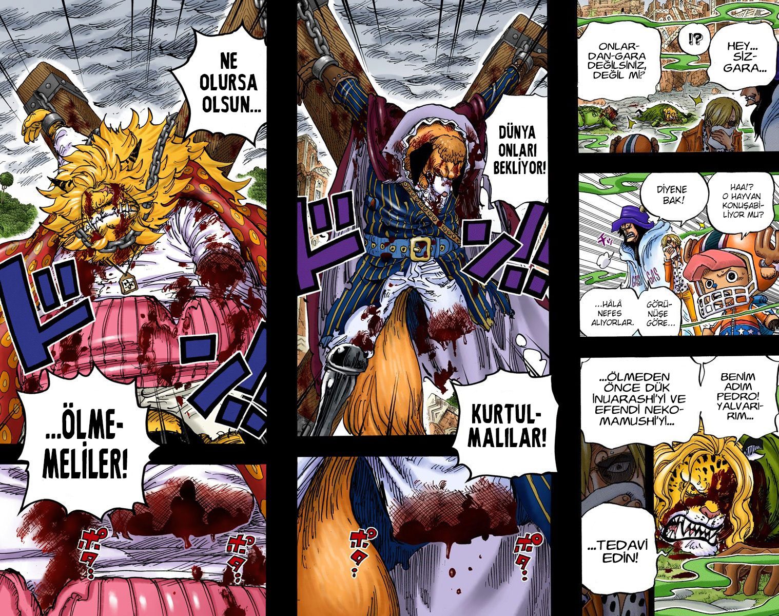 Read One Piece Tr Manga Online