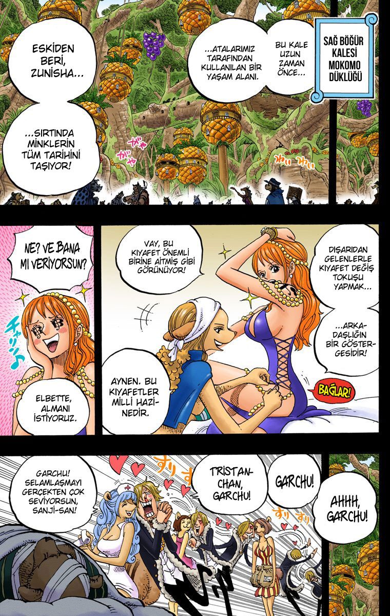 Read One Piece Tr Manga Online