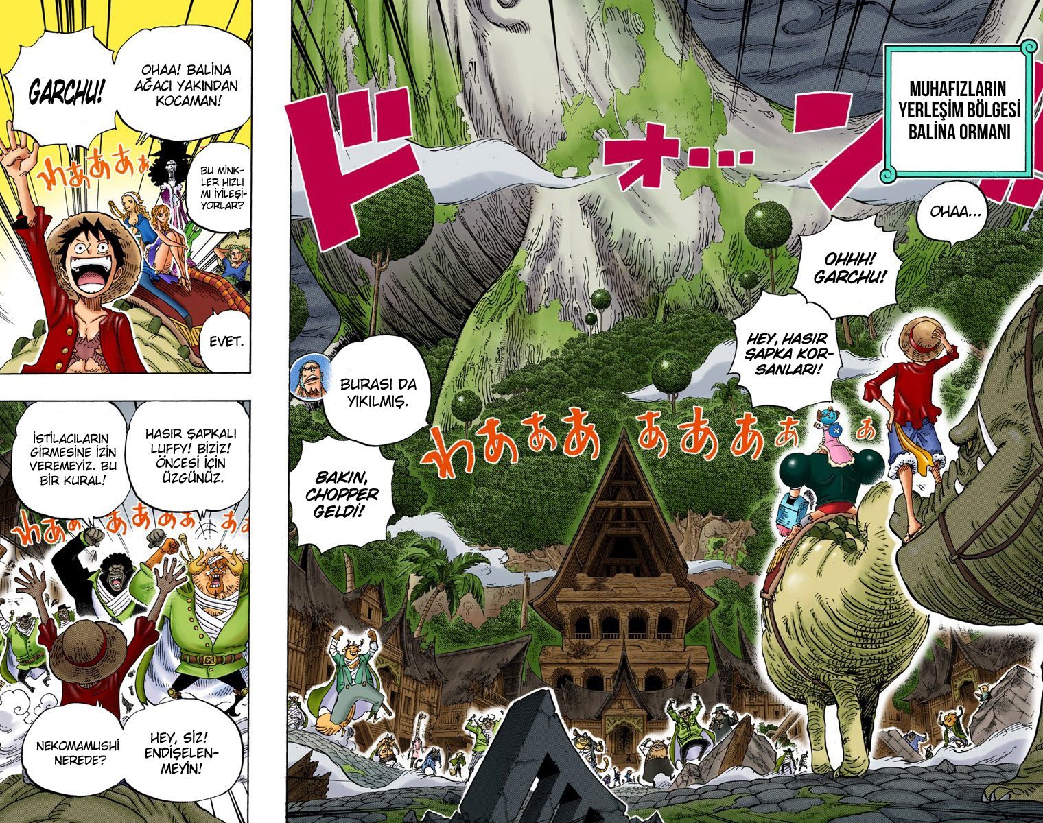 Read One Piece Tr Manga Online