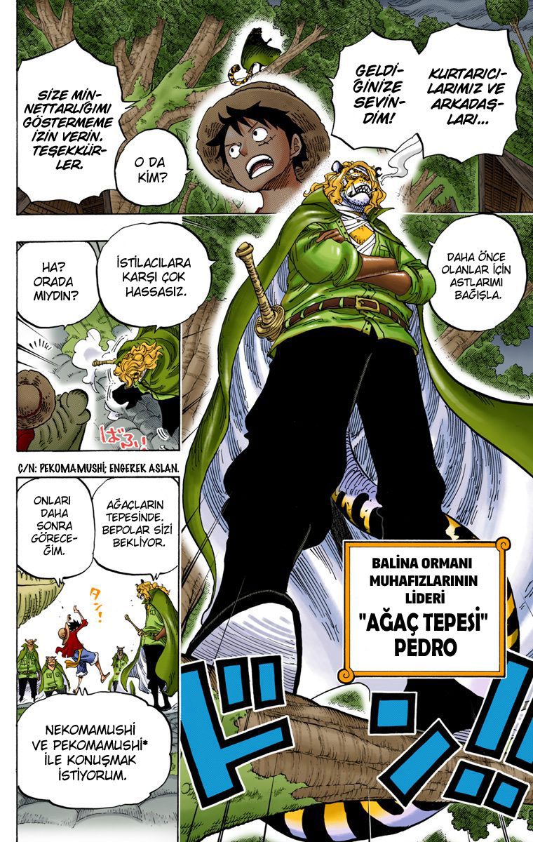 Read One Piece Tr Manga Online