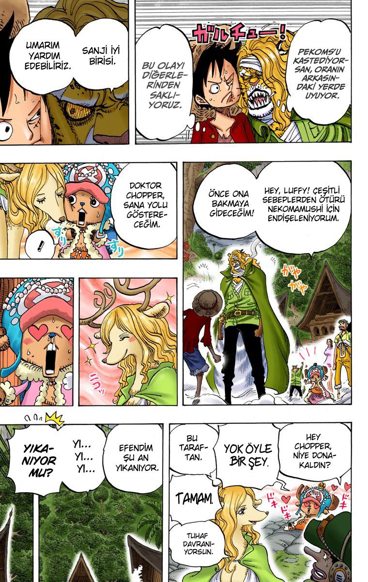 Read One Piece Tr Manga Online