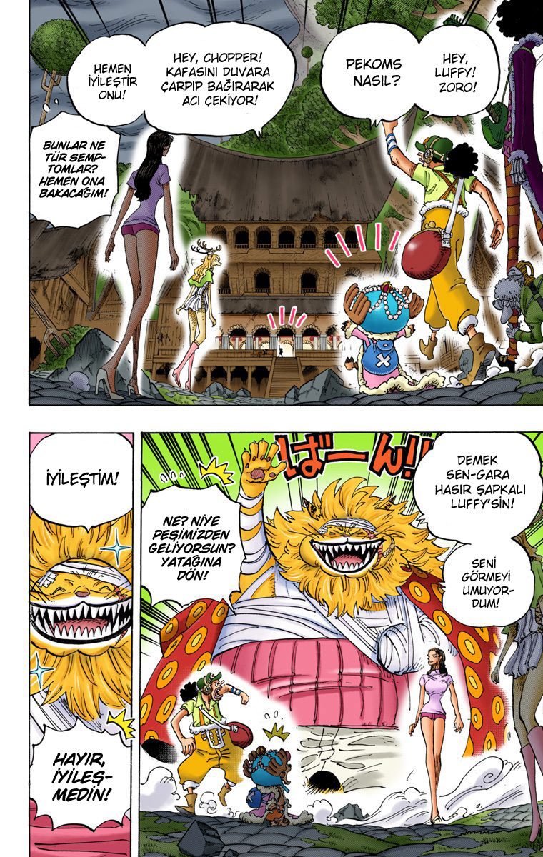 Read One Piece Tr Manga Online