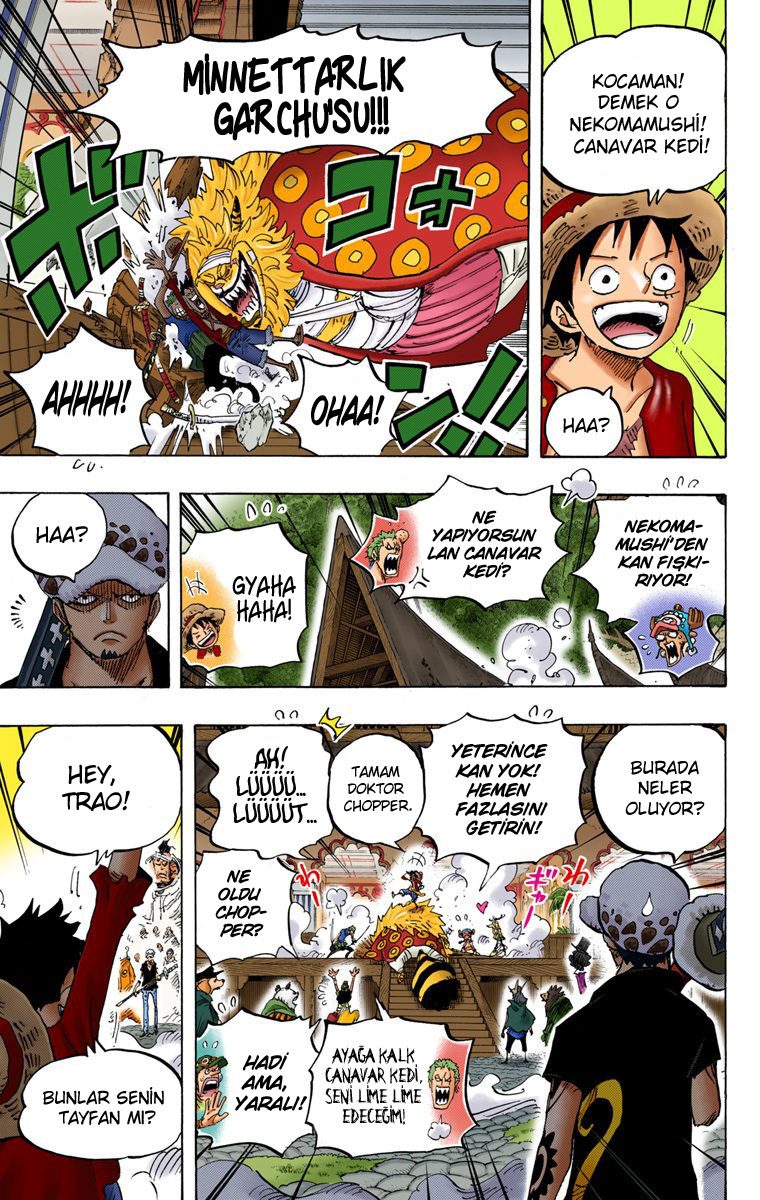 Read One Piece Tr Manga Online
