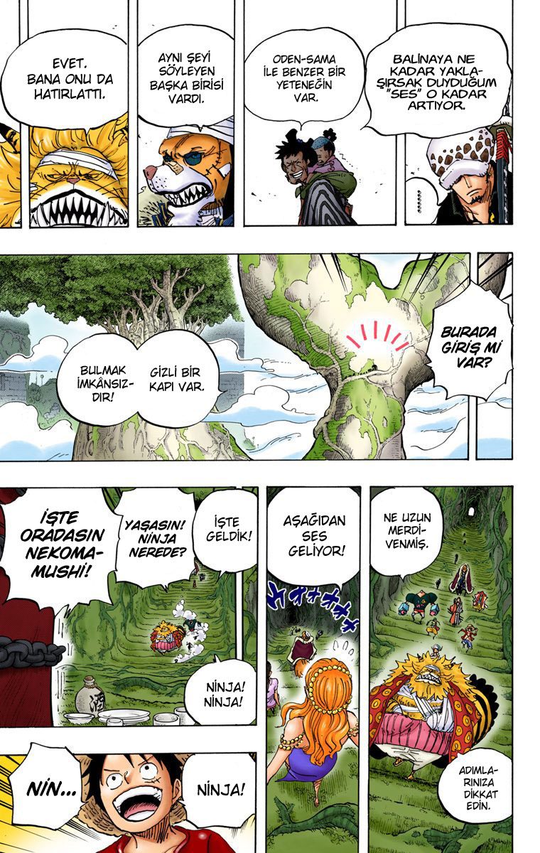 Read One Piece Tr Manga Online