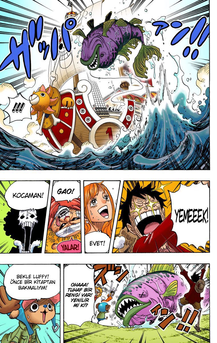 Read One Piece Tr Manga Online
