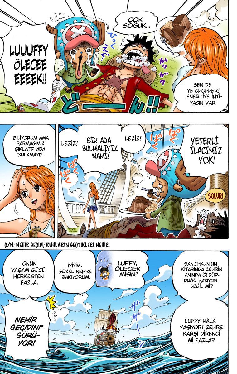 Read One Piece Tr Manga Online