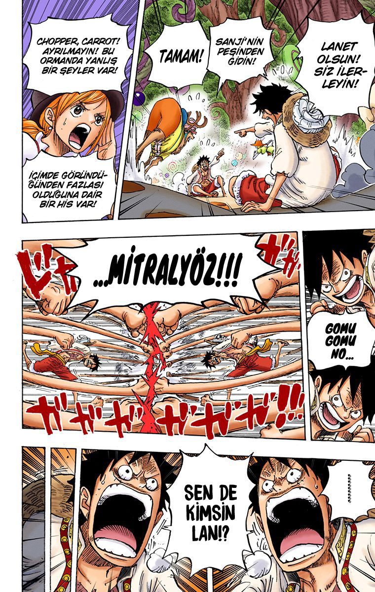 Read One Piece Tr Manga Online