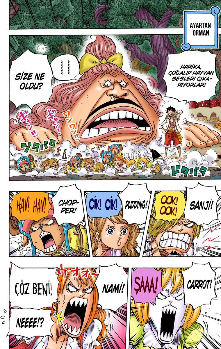 Read One Piece Tr Manga Online
