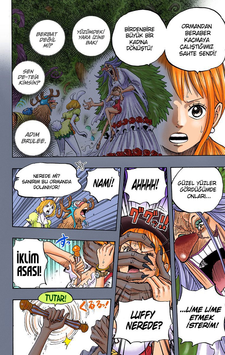 Read One Piece Tr Manga Online
