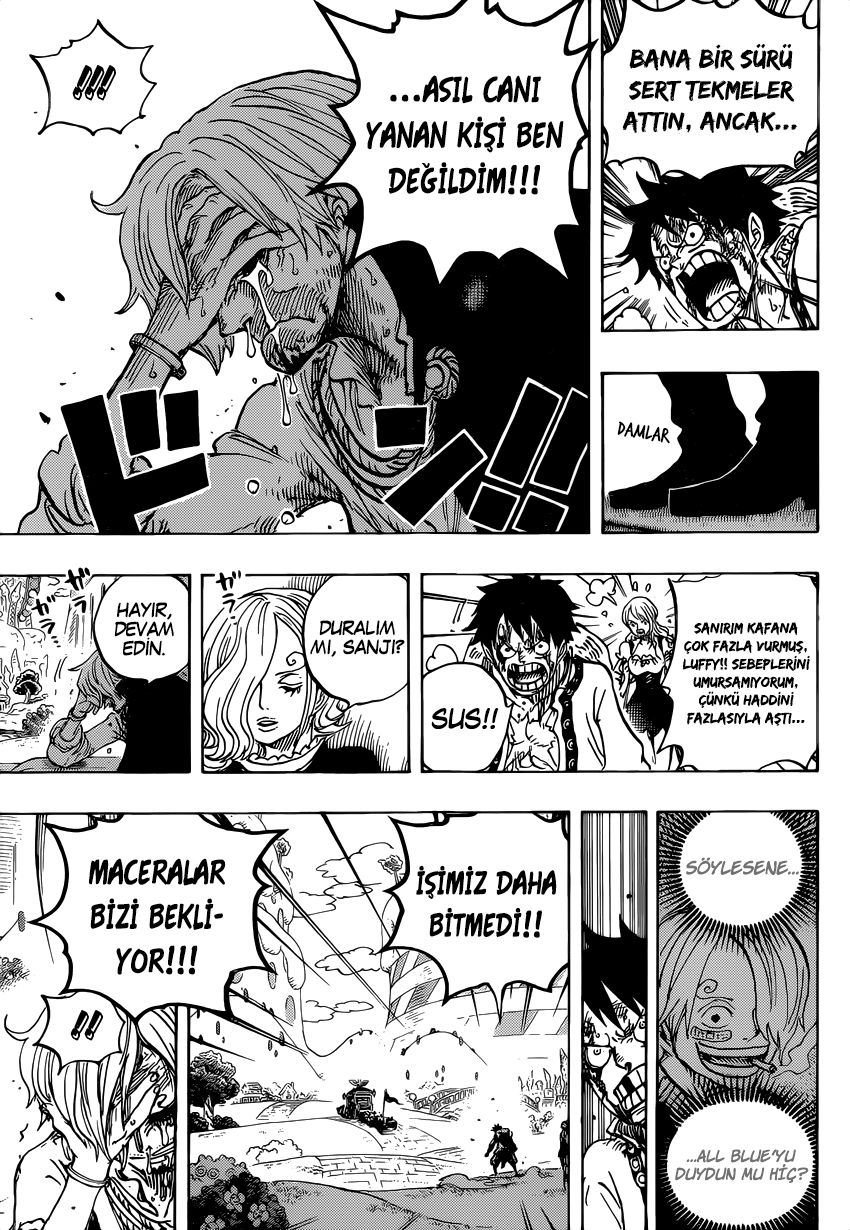 Read One Piece Tr Manga Online