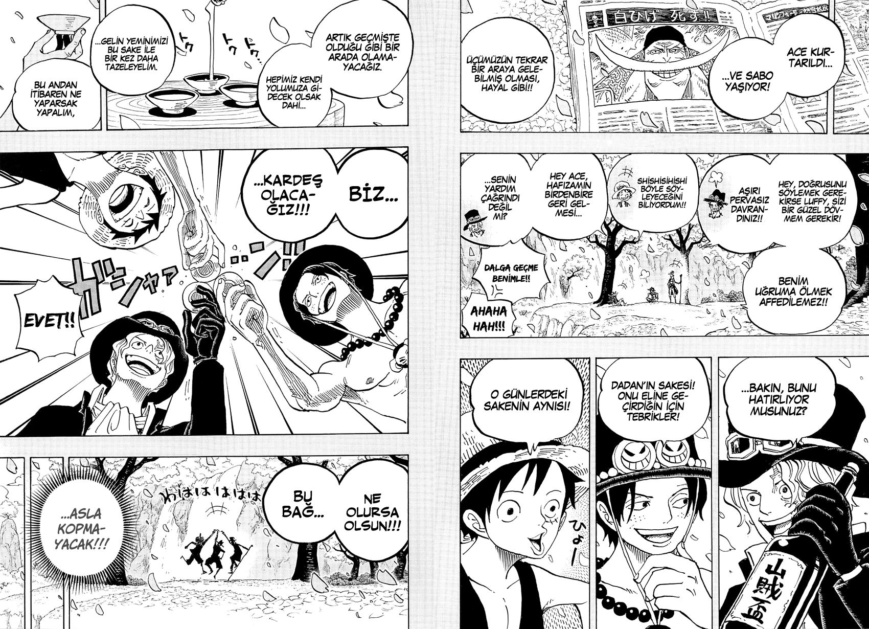 Read One Piece Tr Manga Online