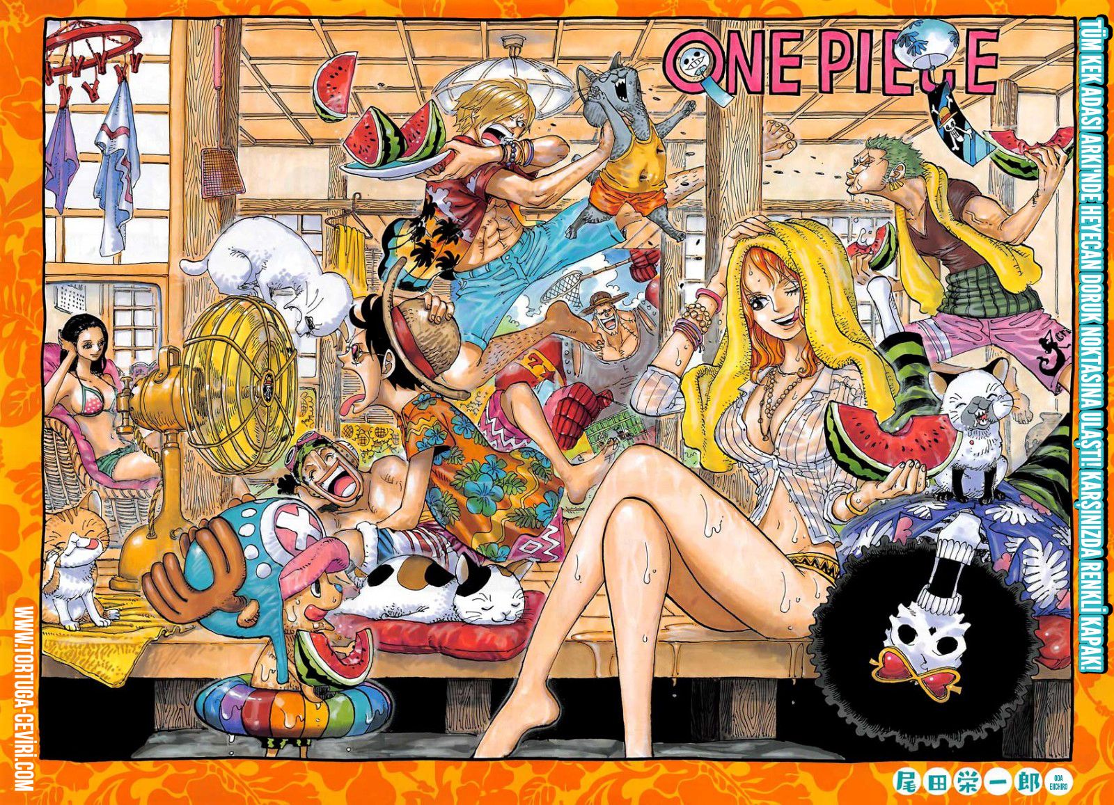 Read One Piece Tr Manga Online