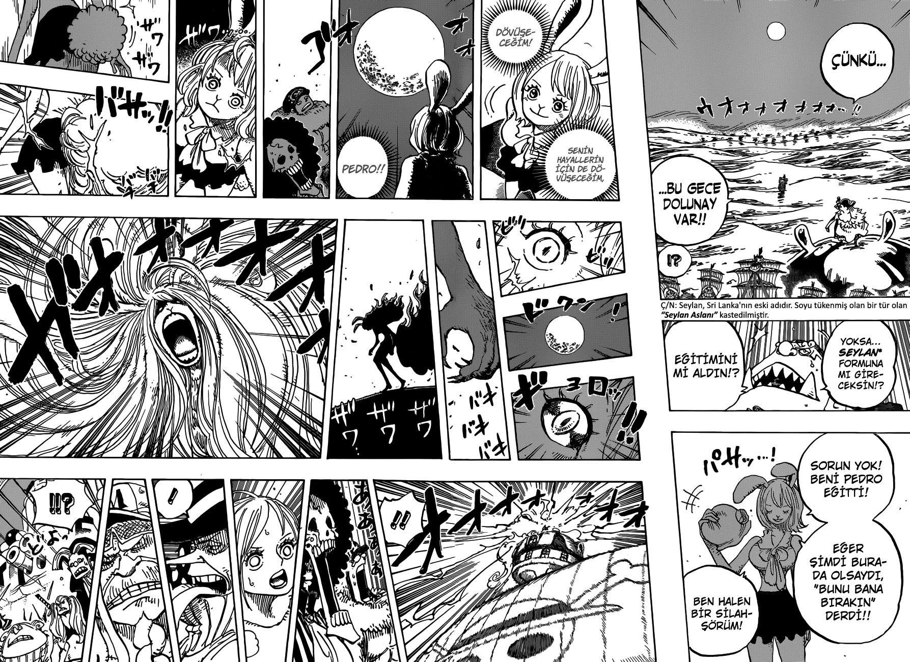 Read One Piece Tr Manga Online